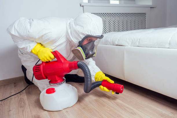 Best Residential Pest Control  in Burns Flat, OK